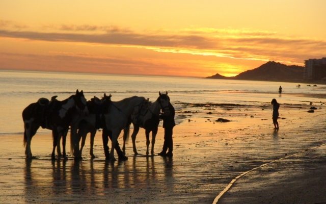 Paseos a caballo por la playa de Puerto Peñasco